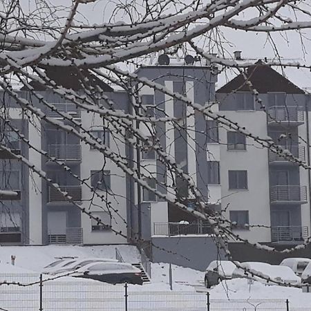 Apartament Szary Wilk Świeradów-Zdrój Eksteriør billede