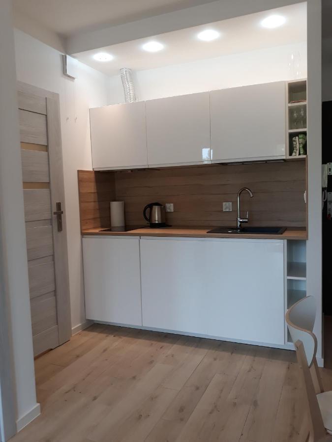 Apartament Szary Wilk Świeradów-Zdrój Eksteriør billede
